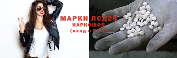 PSILOCYBIN Чердынь