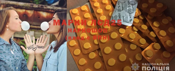 PSILOCYBIN Чердынь